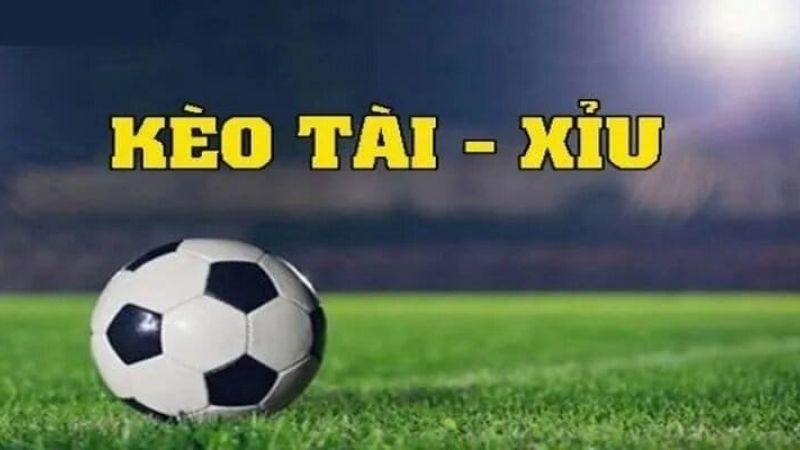 Tham gia cược Tài Xỉu 1/1.5 trái đầy hấp dẫn